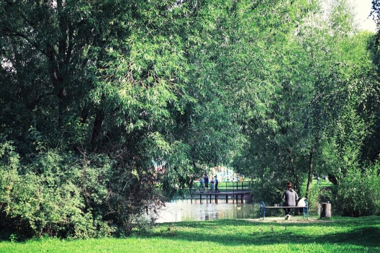 zielen-w-sercu-miasta-jak-walczymy-z-upalami-w-warszawie