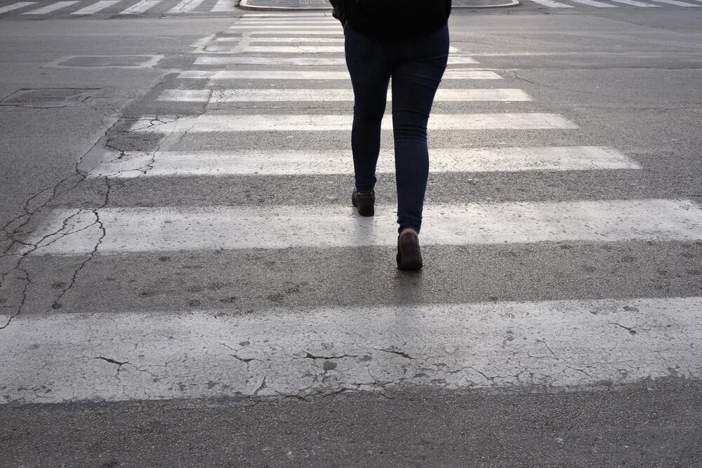 bezpieczniejsza-puszcza-nowe-kamery-na-gilotynie-uratuja-dzikie-zwierzeta
