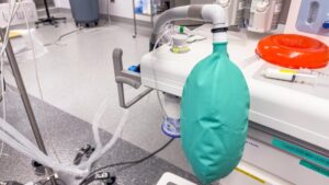 bezp--atne-badania-psa-dla-pan--w-z-wilanowa-w-ram-auto-3890