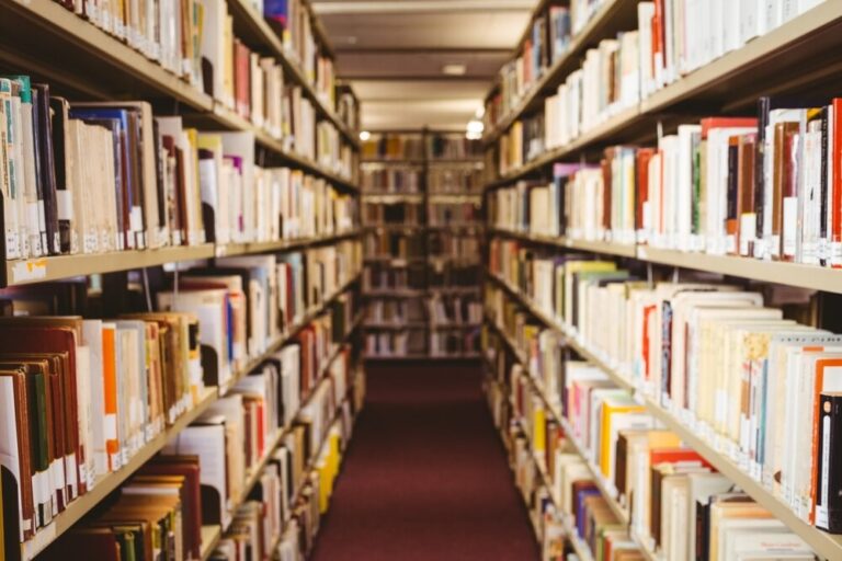 kino-w-bibliotece--magiczne----po--egnanie-z-afryk-auto-6195