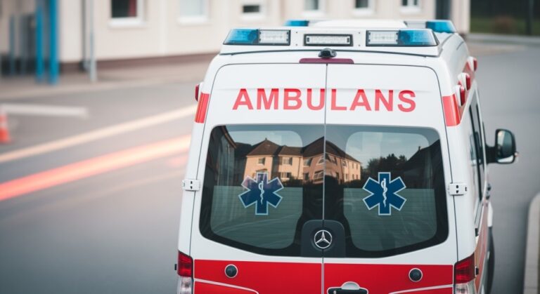 policjantka-sto--ecznego-stanowiska-kierowania-ura-auto-893