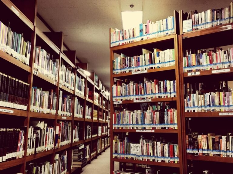 tworcze-lapacze-snow-ekologiczne-warsztaty-w-bibliotece-dla-mlodziezy