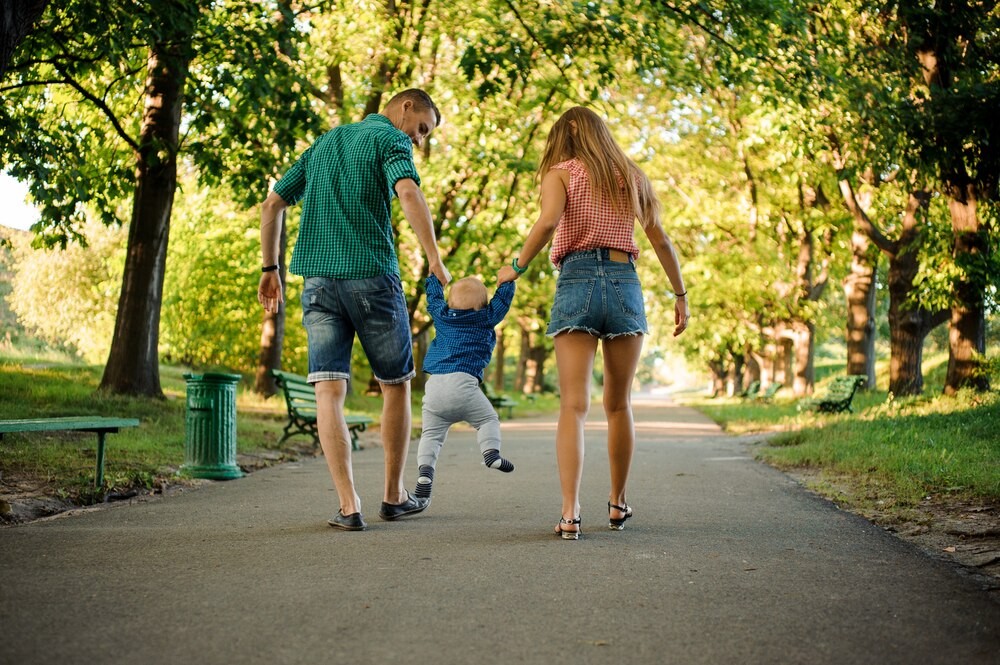 szukasz-przyjaciela--norbi--trufel-i-hiko-czekaj---auto-5264