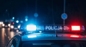 tymczasowy-areszt-dla-kobiety-podejrzanej-o-usi--o-auto-493