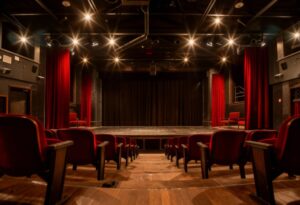 humorystyczny-wiecz--r-z-teatrem-kamienica-na-biel-auto-6505