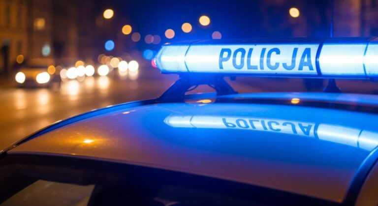 policjanci-prowadzili-dzia--ania-prewencyjno-kontr-auto-1337