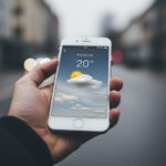 zima-wraca--ale-w-mokotowie-ju---kwitnie-nadzieja--auto-5257