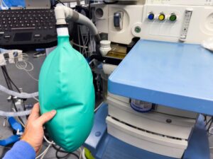 ---bezpieczna-warszawianka----i----bezpieczny-wars-auto-3896