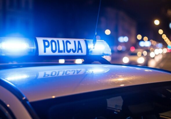 nowodworscy-kryminalni-zatrzymali-trzech-m----czyz-auto-308