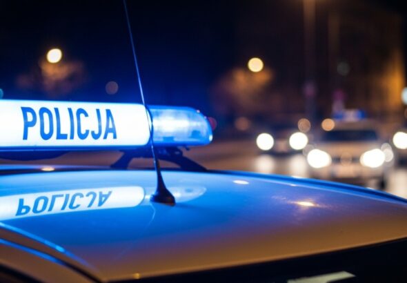 podejmuj--c-interwencj---wobec---pi--cego-w-aucie--auto-304