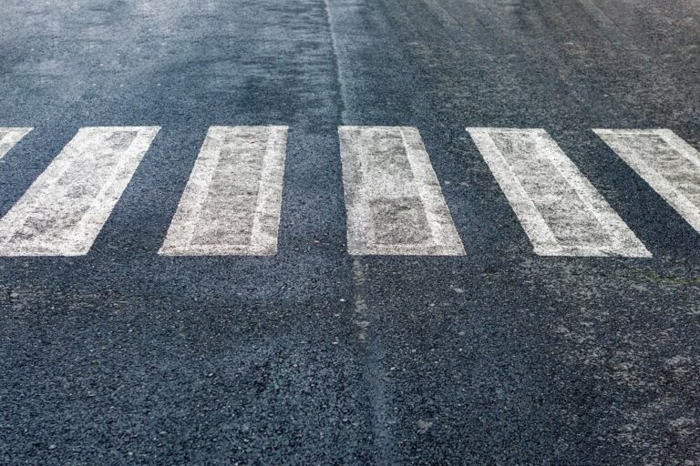 wilanowska-policjantka-zapobieg--a-zagro--eniu-na--auto-6026