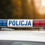 19-latek-zatrzymany-na-gor--cym-uczynku-w-oszustwi-auto-6083