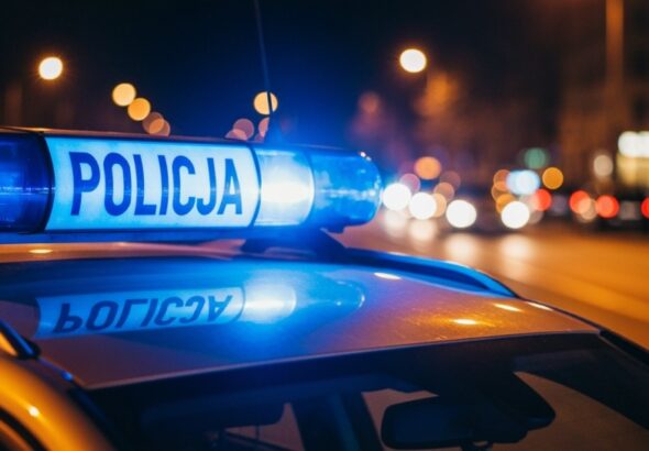 czujno-----policjant--w-doprowadzi--a-do-zatrzyman-auto-1339