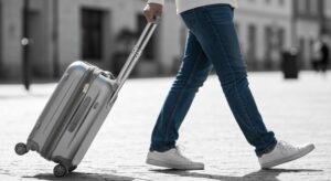 odkryj-tajemnice-lasu-br--dnowskiego-----zielonego-auto-4720