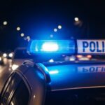 pieni--dze-i-bi--uteria-powr--c---do-w--a--cicielk-auto-486