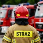 wsparcie-wfo--igw-umo--liwi--o-zakup-sprz--tu-dla--auto-6733