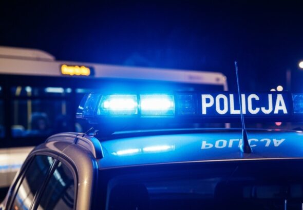 noc---napadli-na-przechodnia---jednego-ze-sprawc---auto-467