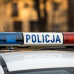 policja---apie-sprawc---brutalnej-kradzie--y-w-brw-auto-6086
