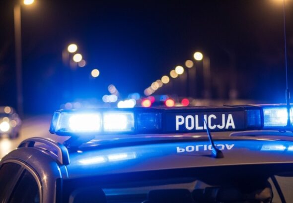 sprawcy-w--ama---do-tir---w-w-r--kach-grodziskich--auto-488