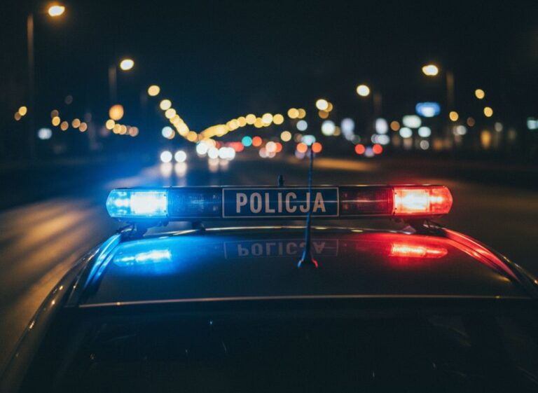 kierowa---mimo-s--dowego-zakazu--by---te---poszuki-auto-6947