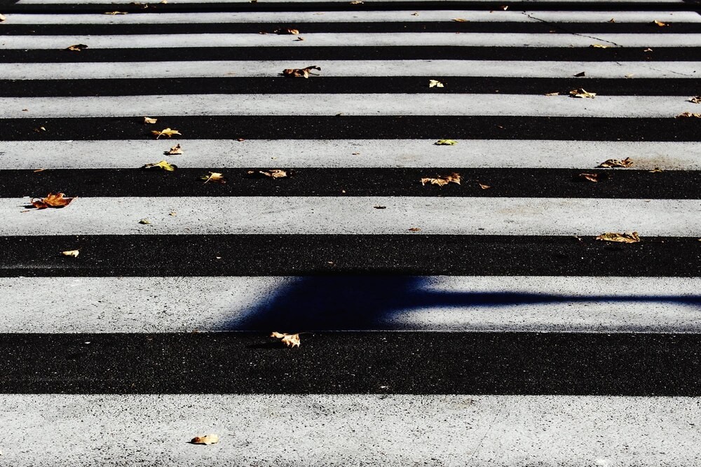 ---komisarz-zebra----na-pasach-auto-5993