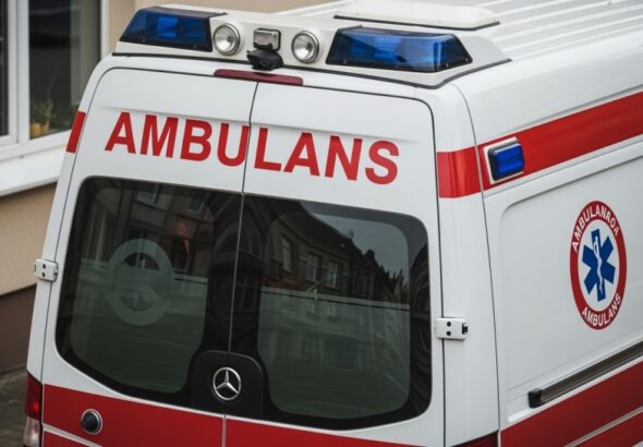 stra--nicy-miejscy-i-personel-sodon-odratowali-57--auto-946