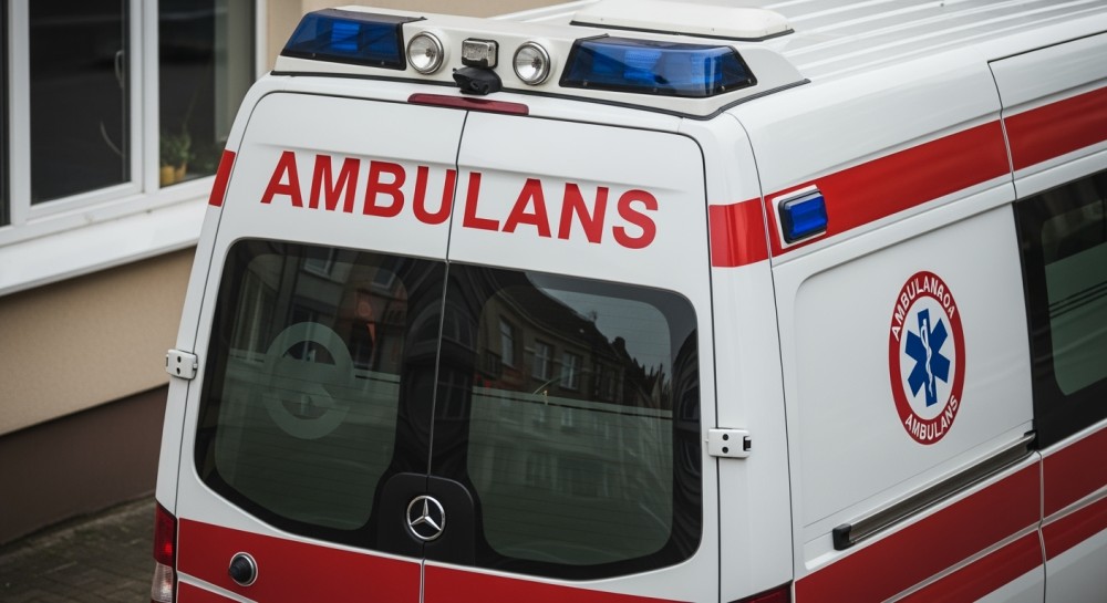 stra--nicy-miejscy-i-personel-sodon-odratowali-57--auto-946