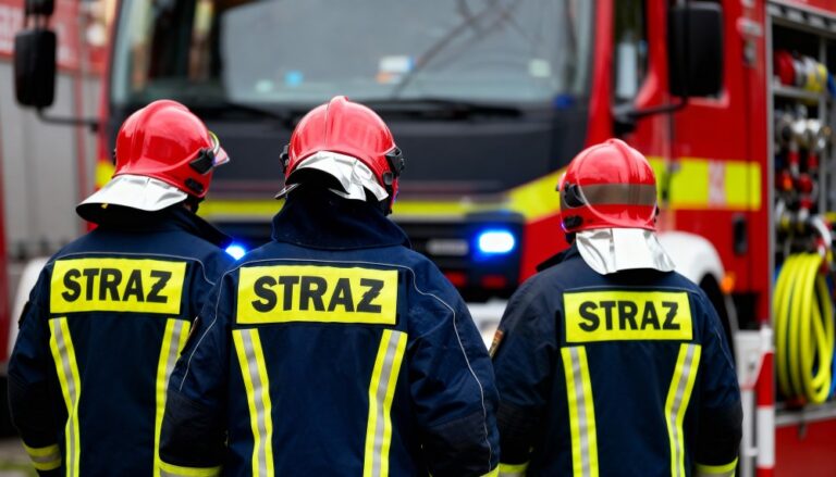 wielkanocne-wyzwania-stra--ak--w-z-weso--ej--27-in-auto-6759