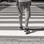 ---zebra----na-pasach-auto-5977