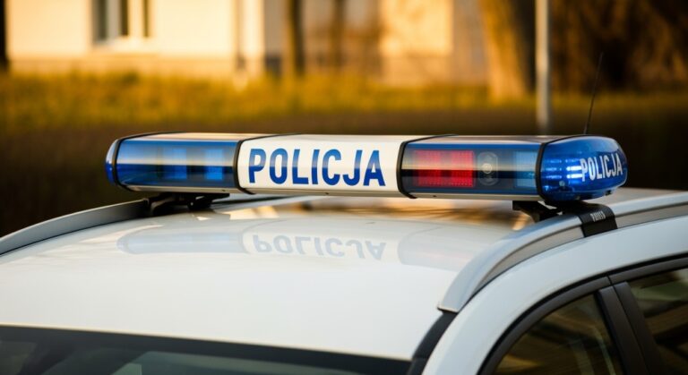 stra--nicy-udaremnili-oszustwo----na-policjanta----auto-6072