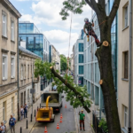 wycinkawarszawa