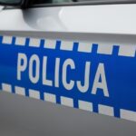 przyspiesza----zwalnia----a---ruszy---do-ucieczki-auto-6646