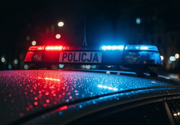 stra--nicy-miejscy-uj--li-poszukiwanego-z--odzieja-auto-6905