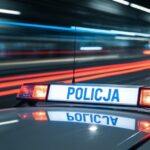 akcja--kobra---odzyskano-skradzion---toyot---chr-i-auto-370