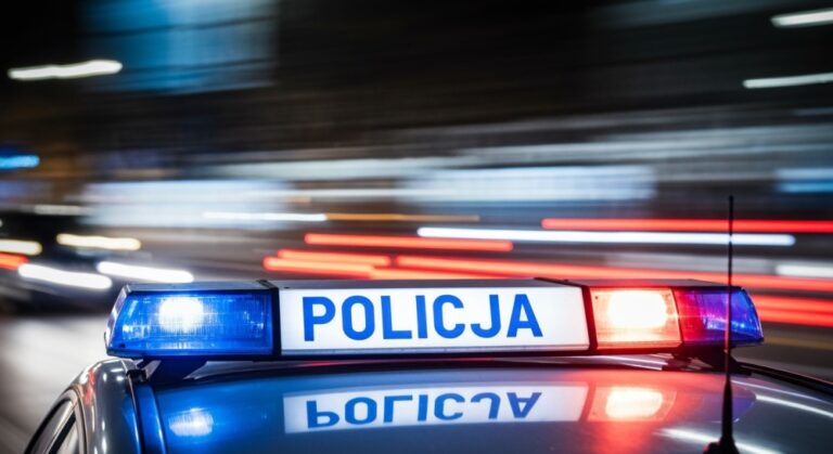 polska-na-czo--owej-pozycji-w-europejskim-bezpiecz-auto-1390