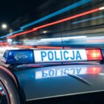 chcia---ukra-----psa-ze-schroniska--zosta---zatrzy-auto-378