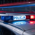 -kobra--skuteczna-i-spektakularna-auto-11422