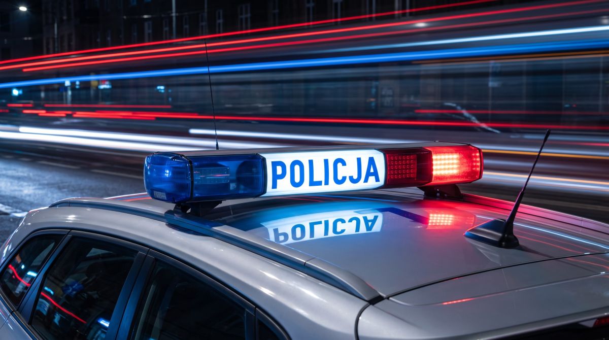 -kobra--skuteczna-i-spektakularna-auto-11422