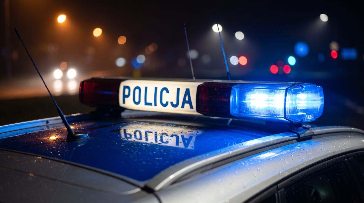 pr--bowa---pozby---si---dowod--w-wyrzucaj--c-je-pr-auto-11336
