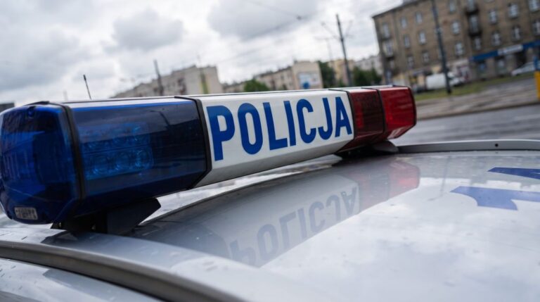 szybka-reakcja-policjant--w-z-nadarzyna--37-latek--auto-11631