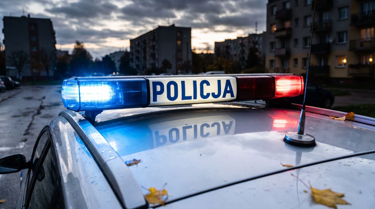 troje-podejrzanych-o-oszustwa-w-r--kach-policjant--auto-11485